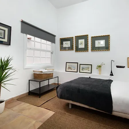 Loft Parque Cruz Santa Cruz de Tenerife