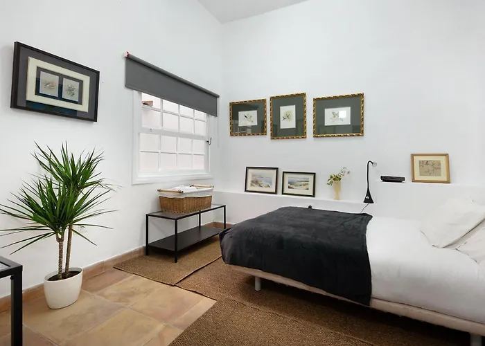 Loft Parque Cruz Santa Cruz de Tenerife